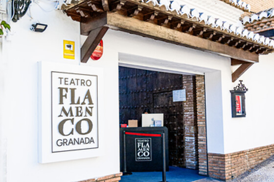 TEATRO FLAMENCO GRANADA - photo 4