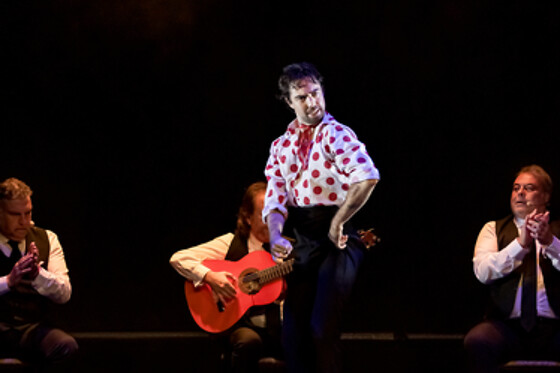 TEATRO FLAMENCO GRANADA - photo 6