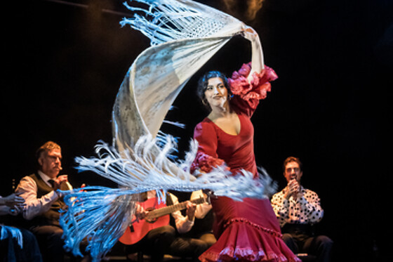 TEATRO FLAMENCO GRANADA - photo 7