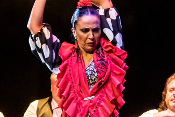 TEATRO FLAMENCO GRANADA - photo 8