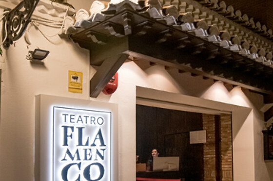 TEATRO FLAMENCO GRANADA - photo 10