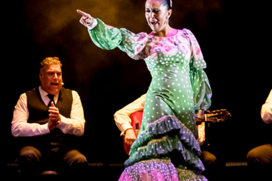 TEATRO FLAMENCO GRANADA - photo 11