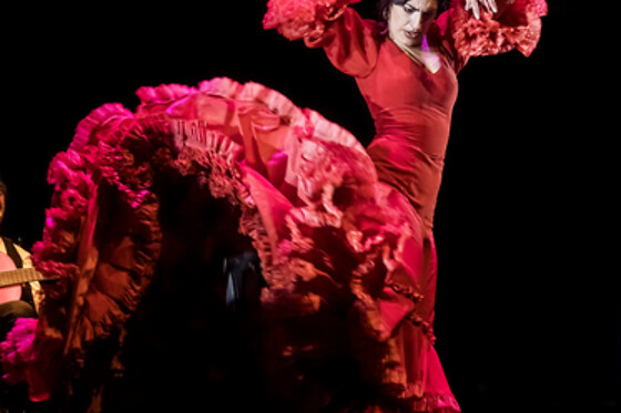 TEATRO FLAMENCO GRANADA - photo 2