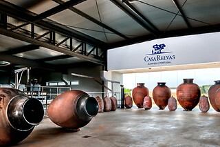 Prova Terroir: Visita à Adega + Prova de 3 Vinhos com snacks para 1 | Casa Relvas (Évora)