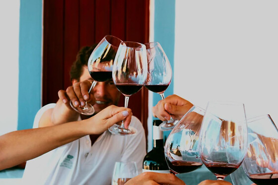 Prova Terroir: Visita à Adega + Prova de 3 Vinhos com snacks para 1 | Casa Relvas (Évora)