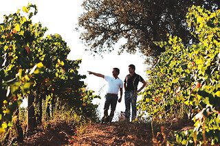 Prova Terroir: Visita à Adega + Prova de 3 Vinhos com snacks para 1 | Casa Relvas (Évora)