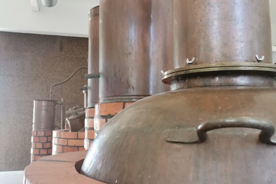 Prova de gin e vinho + Tábua premium para 2 | Gotik Destilaria (Santarém)
