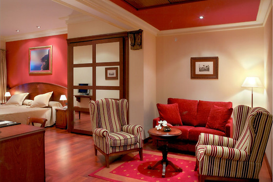HOTEL PALACIO DE LA MAGDALENA - photo 5