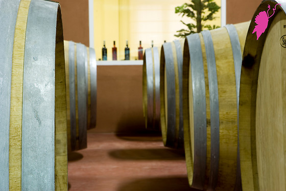 PAGO DE LAS ENCOMIENDAS VIÑEDOS Y BODEGAS - photo 1