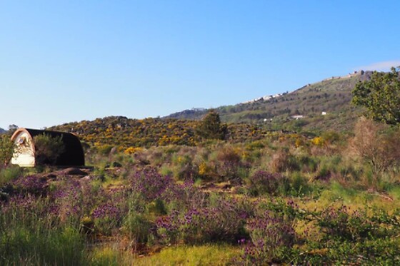 Duas noites em Camping Pod ou Refúgio do Cancho para 2 em Quinta do Maral Espaço Naturista em Marvão (Portalegre)