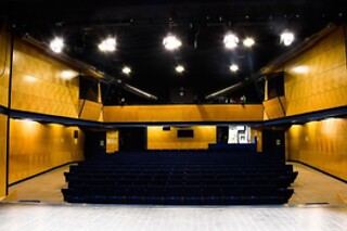Entrada para espetáculo à escolha do Teatromosca para 2 - Sintra