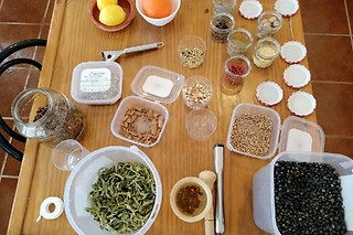 Workshop de destilação de Gin para 1 em Destilaria Atalaya Gin em Ouguela (Campo Maior)