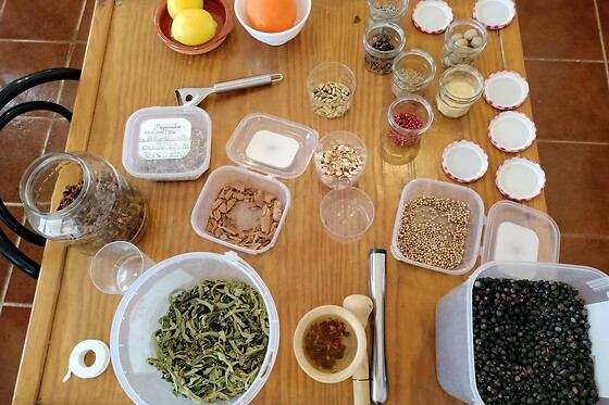 Workshop de destilação de Gin para 1 em Destilaria Atalaya Gin em Ouguela (Campo Maior)