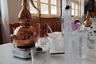 Workshop de destilação de Gin para 1 em Destilaria Atalaya Gin em Ouguela (Campo Maior)