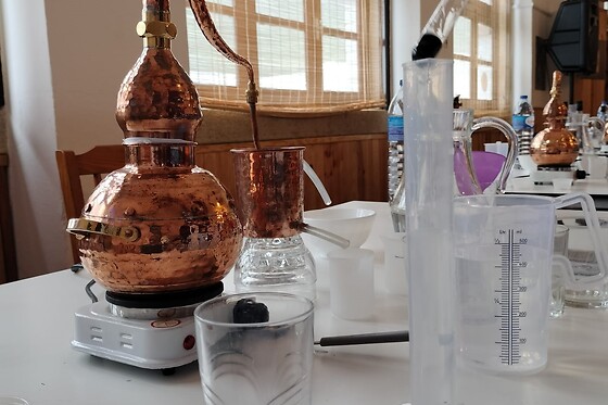 Workshop de destilação de Gin para 1 em Destilaria Atalaya Gin em Ouguela (Campo Maior)