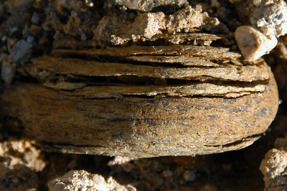 Antichi Vigneti di Cantalupo - photo 4
