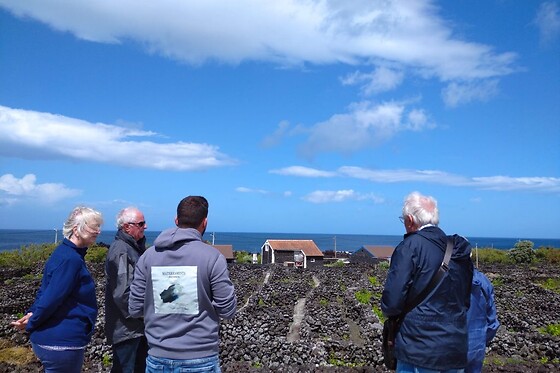Tour de carrinha ou Jeep à escolha para 1 | Pro Island Tour (Ilha Terceira, Açores)