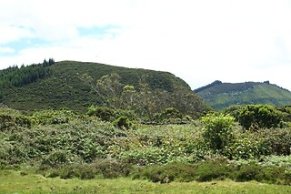 Tour de carrinha ou Jeep à escolha para 1 | Pro Island Tour (Ilha Terceira, Açores)