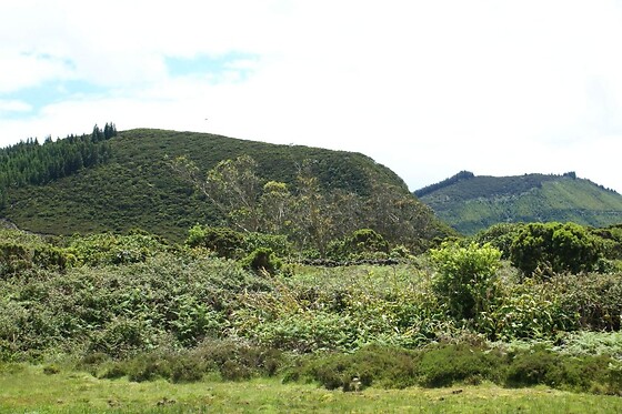 Tour de carrinha ou Jeep à escolha para 1 | Pro Island Tour (Ilha Terceira, Açores)