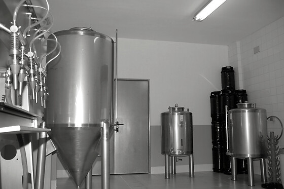 CERVEXA MEIGA - photo 6
