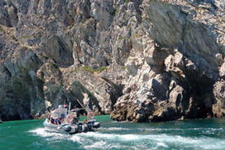 Coasteering na Arrábida | 1 Pessoa - 4h | Arrabida Life, Sesimbra (Setúbal)
