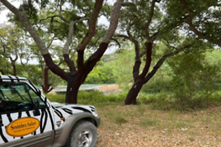 Tour de Jipe, Castelo de Sesimbra  - Cabo Espichel | 1 Pessoa - 3h | Sesimbra Safari (Setúbal)