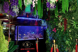 Sifra Sushi & Grill - Ajuda