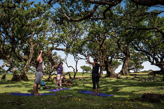 EMILIE MANGONI YOGA - photo 2