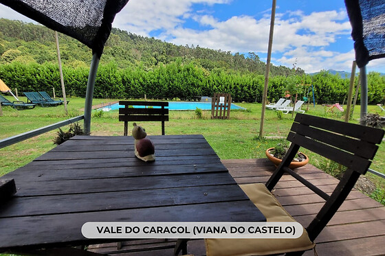 Insólito: fugas de sonho
