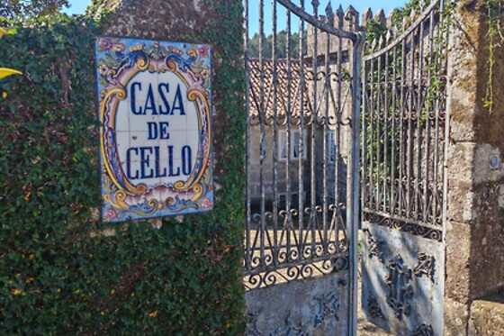 Visita às Vinhas, Adega + Prova de 2 vinhos para 1 |  Quinta da Vegia - Casa de Cello (Penalva do Castelo, Viseu)