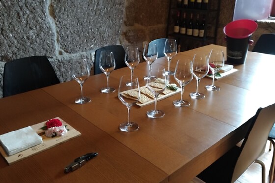 Visita às Vinhas, Adega + Prova de 2 vinhos para 1 |  Quinta da Vegia - Casa de Cello (Penalva do Castelo, Viseu)