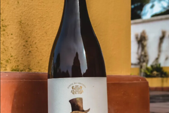 Prova de 6 Vinhos para 2 | Quinta da Centieira (Almoster, Santarém)