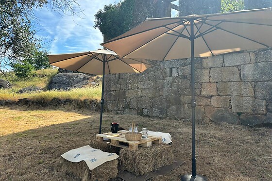 Visita às Vinhas, Adega + Prova de 4 vinhos para 1 | Quinta de Sanjoanne - Casa de Cello (Amarante)