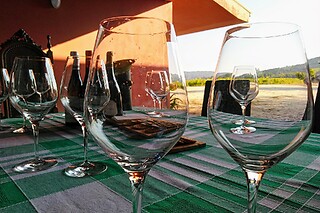 Visita às Vinhas, Adega + Prova de 4 vinhos para 1 | Quinta de Sanjoanne - Casa de Cello (Amarante)