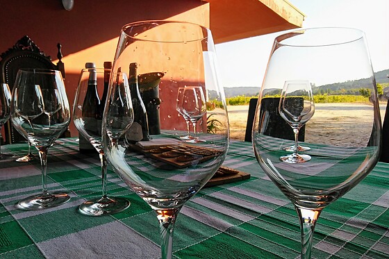 Visita às Vinhas, Adega + Prova de 4 vinhos para 1 | Quinta de Sanjoanne - Casa de Cello (Amarante)