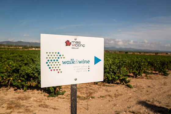 CELLER MAS VICENS - photo 2