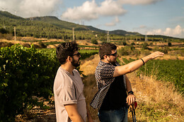 CELLER MAS VICENS