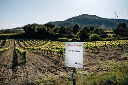 CELLER MAS VICENS