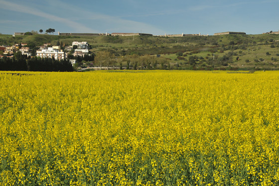 HOTEL EMPORDÀ - photo 17
