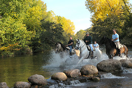 CABALLOS DE LA ARLANZA