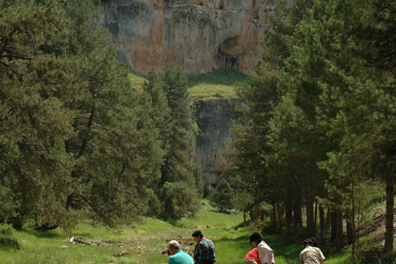 CABALLOS DE LA ARLANZA - photo 4