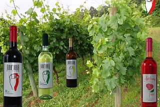 Degustação de Vinhos + Petiscos a 2 | Quinta de Santa Marinha, Arcos de Valdevez (Viana do Castelo)