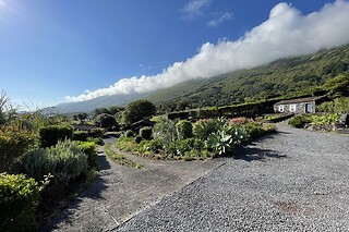 Uma noite em quarto duplo com pequeno-almoço para 2 em Adegas do Pico em Prainha (Açores)