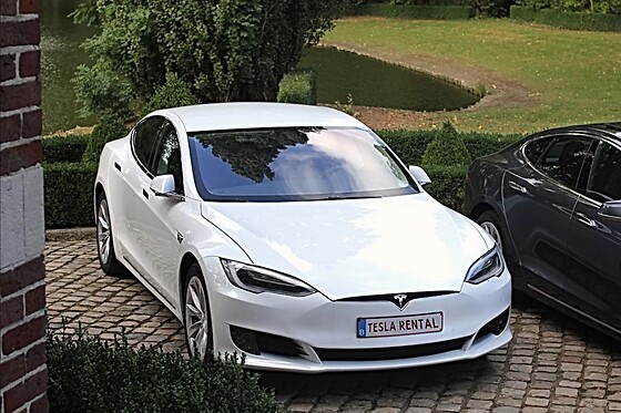 Tesla Rental - photo 4