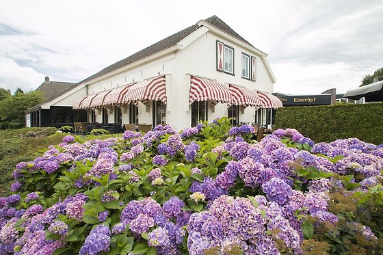 Online Booking EPS - photo 0