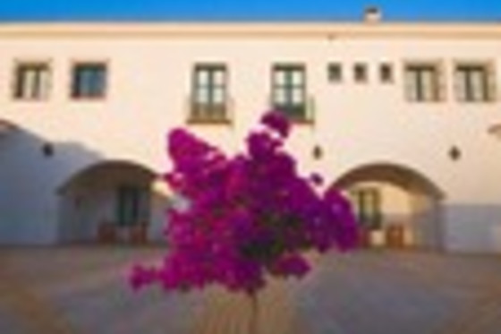 BODEGA VALDEALTO - photo 13