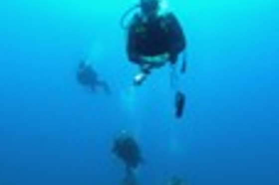 TOSSASUB DIVING CENTER - photo 3