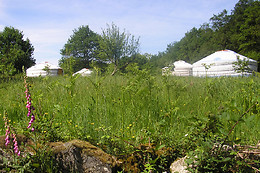 Les ânes de Vassivières