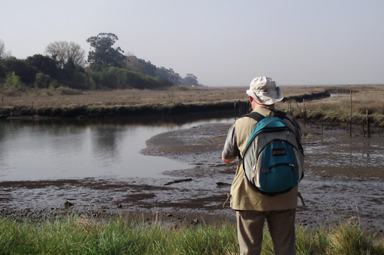 O CICERONE - photo 0