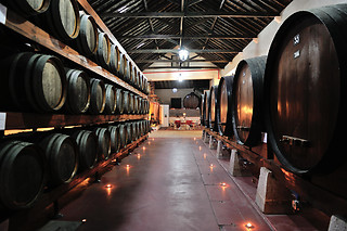 Visita à Adega + Prova de 5 Vinhos + Produtos Regionais para 2 | Adega Venâncio da Costa Lima, Quinta do Anjo (Palmela)